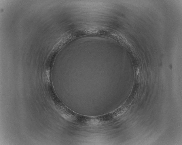 X0000076080598200610061618