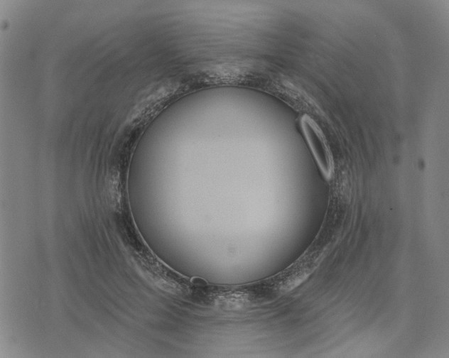 X0000076080599200610061618