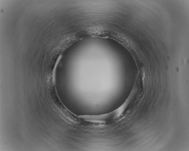 X0000076080601200610061618