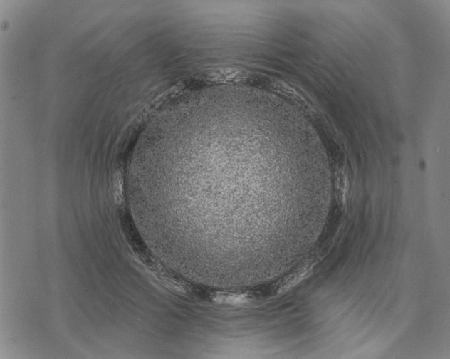 X0000076080602200610061618