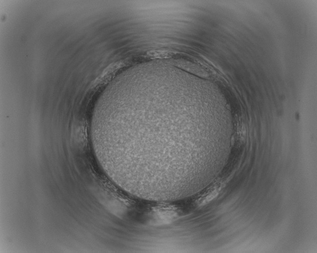 X0000076080603200610061618