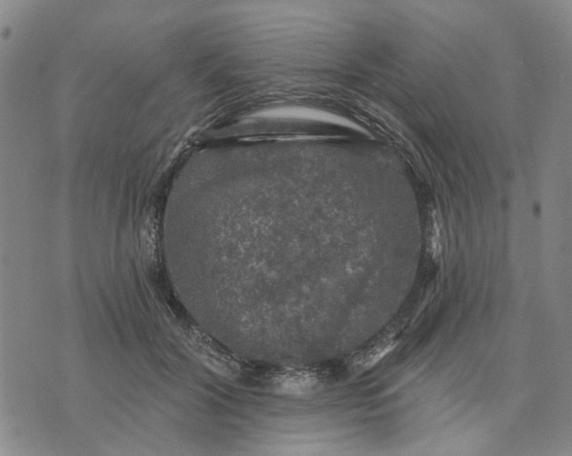 X0000076080604200610061618