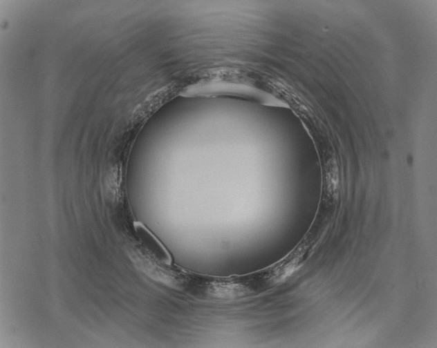 X0000076080605200610061618