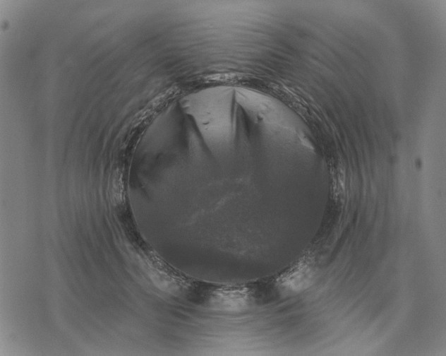 X0000076080606200610061618