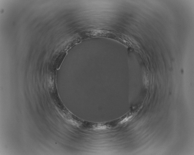 X0000076080607200610061618