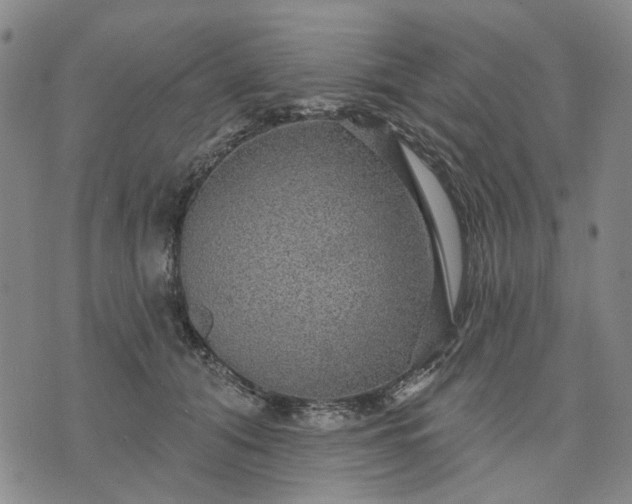 X0000076080608200610061618