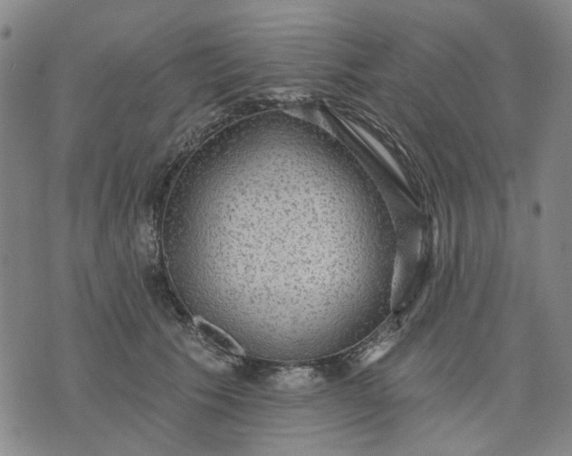 X0000076080609200610061618