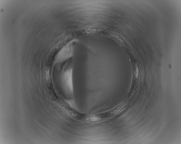 X0000076080610200610061618