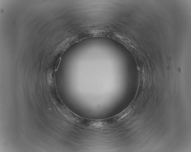 X0000076080611200610061618