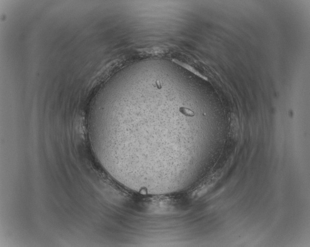 X0000076080612200610061618