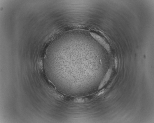 X0000076080613200610061618