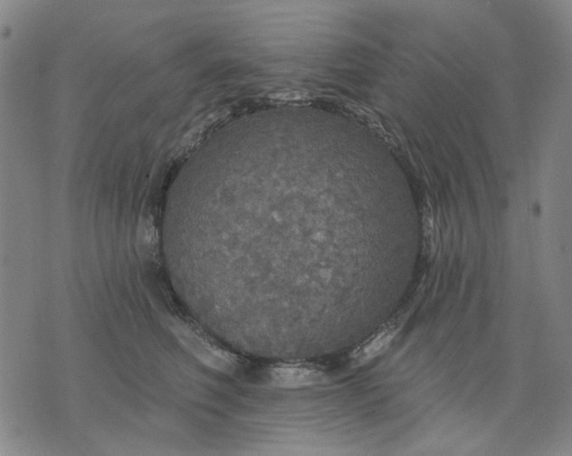 X0000076080614200610061618