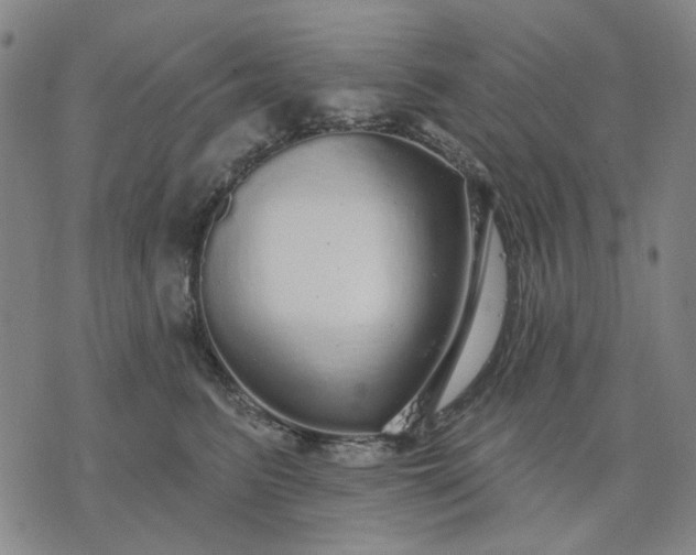 X0000076080615200610061618