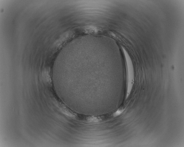 X0000076080616200610061618