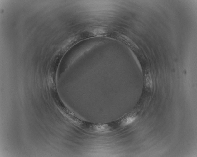 X0000076080618200610061617