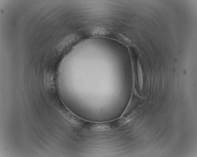 X0000076080619200610061617