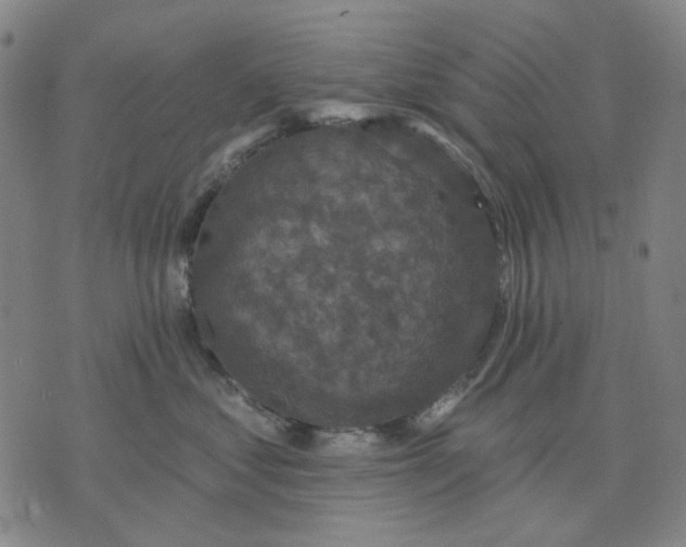 X0000076080621200610061617