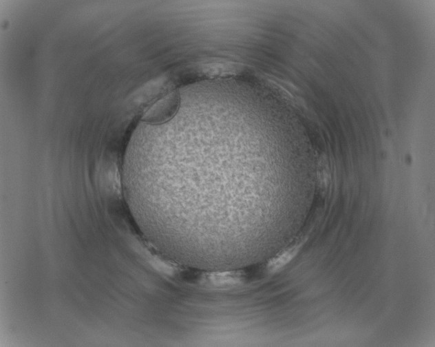 X0000076080622200610061617