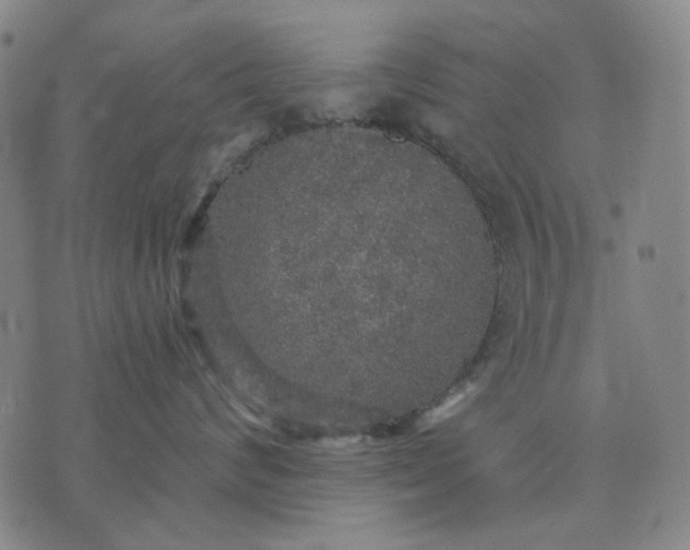 X0000076080624200610061617