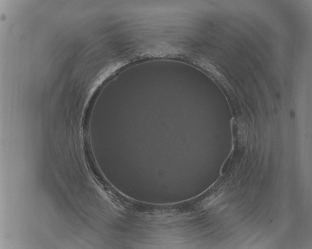 X0000076080626200610061617