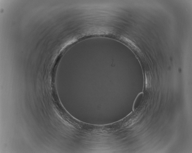 X0000076080627200610061617