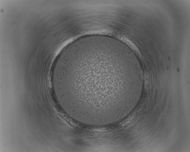 X0000076080628200610061617