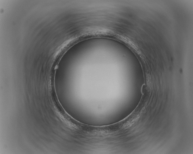 X0000076080629200610061617