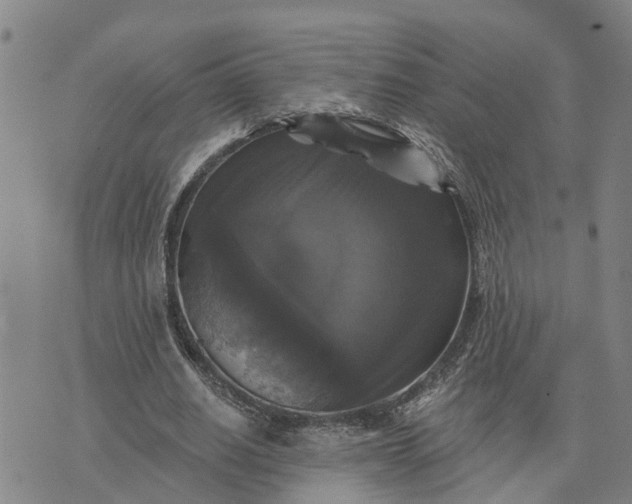 X0000076080630200610061617