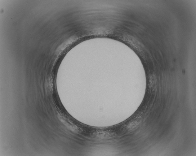 X0000076080632200610061617