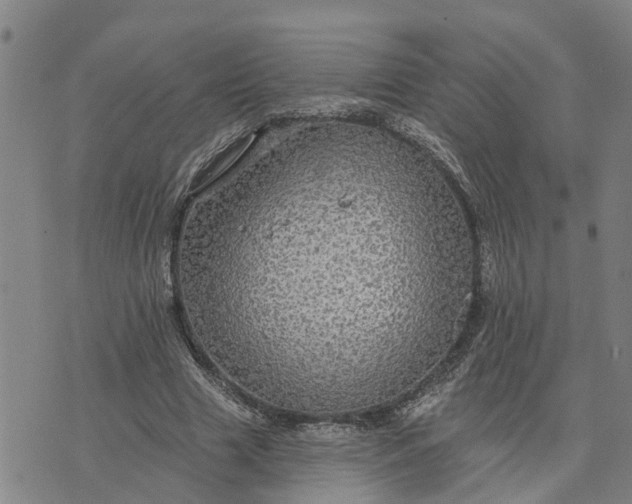 X0000076080633200610061617