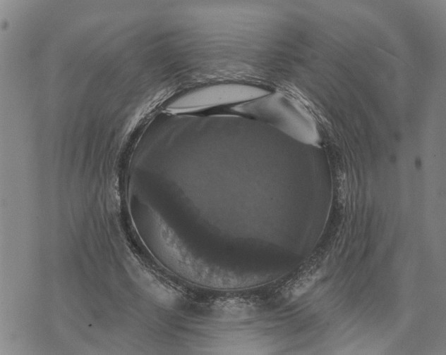 X0000076080634200610061617