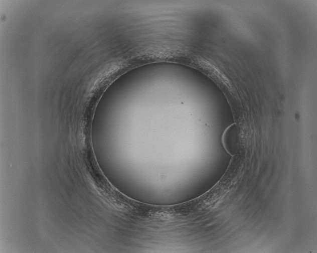 X0000076080635200610061617