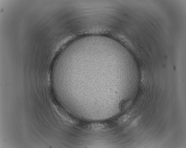 X0000076080636200610061617