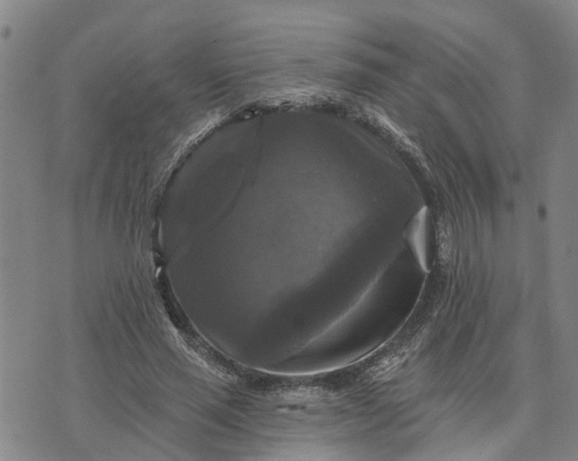 X0000076080637200610061617