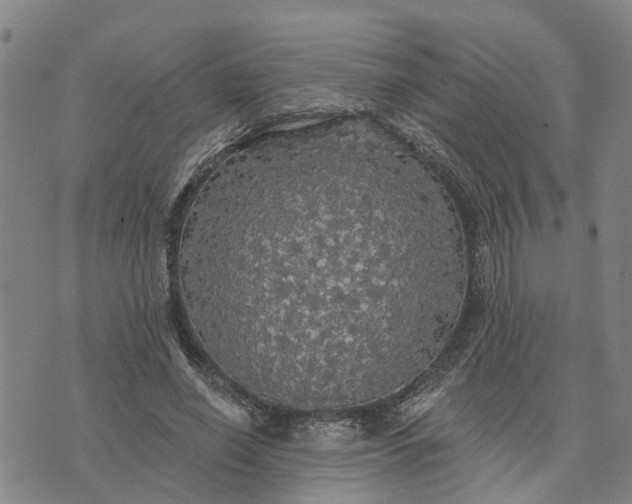 X0000076080638200610061617