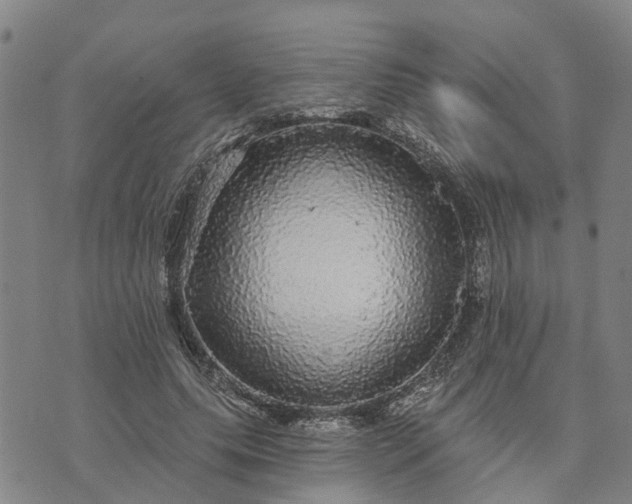 X0000076080639200610061617