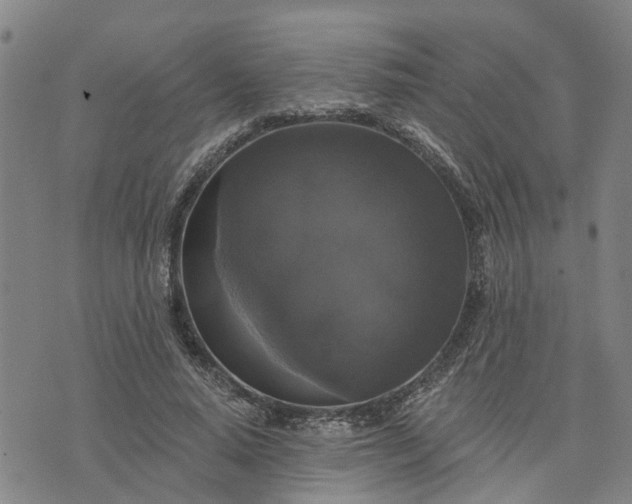 X0000076080640200610061617