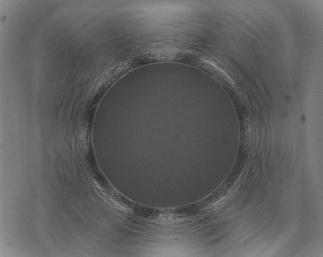 X0000076080641200610061617