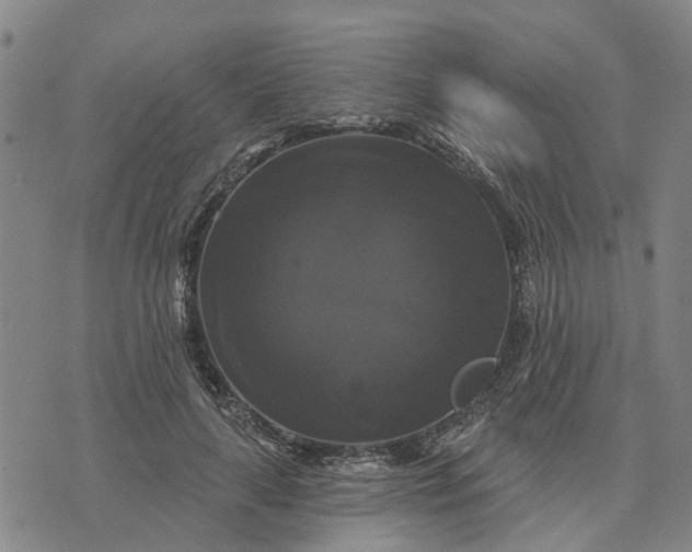 X0000076080643200610061617