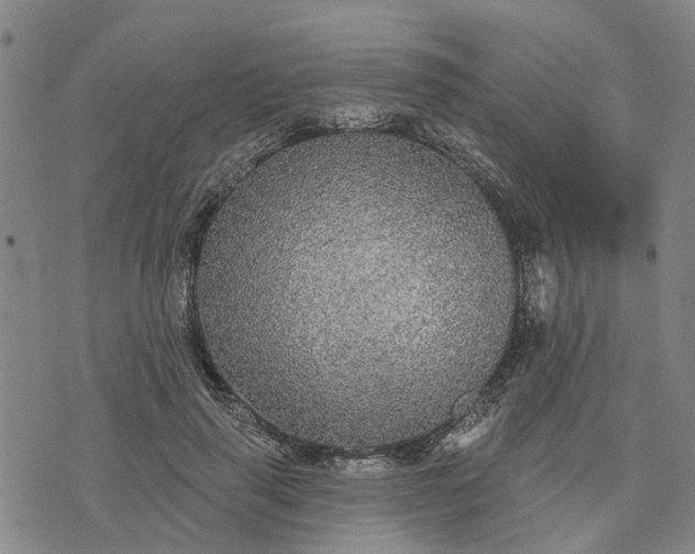 X0000076080645200610061617