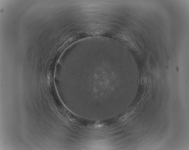 X0000076080647200610061617