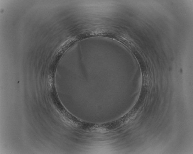 X0000076080648200610061617