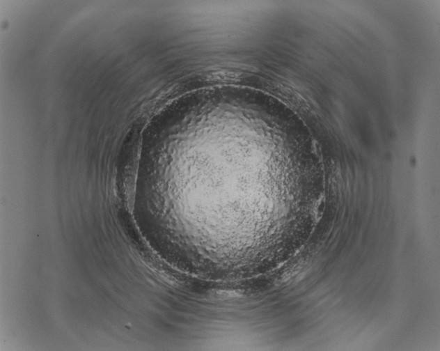 X0000076080649200610061617