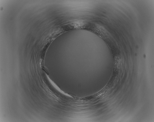 X0000076080650200610061617