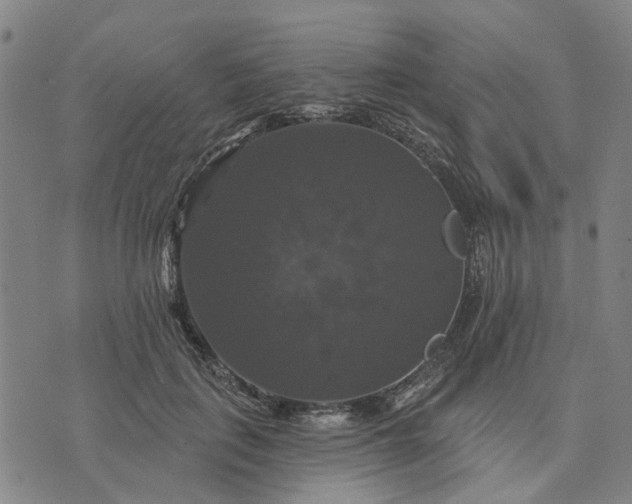 X0000076080651200610061617