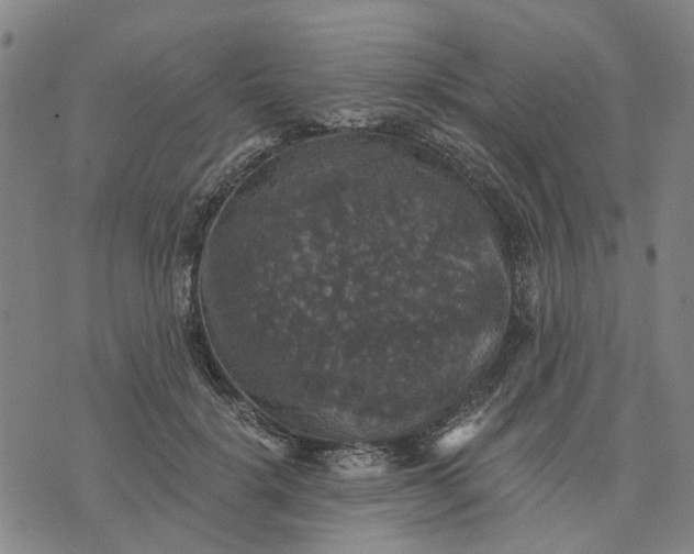 X0000076080652200610061617