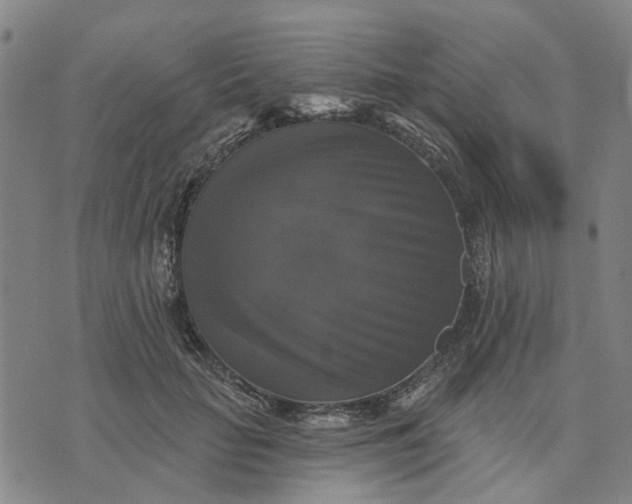 X0000076080653200610061617