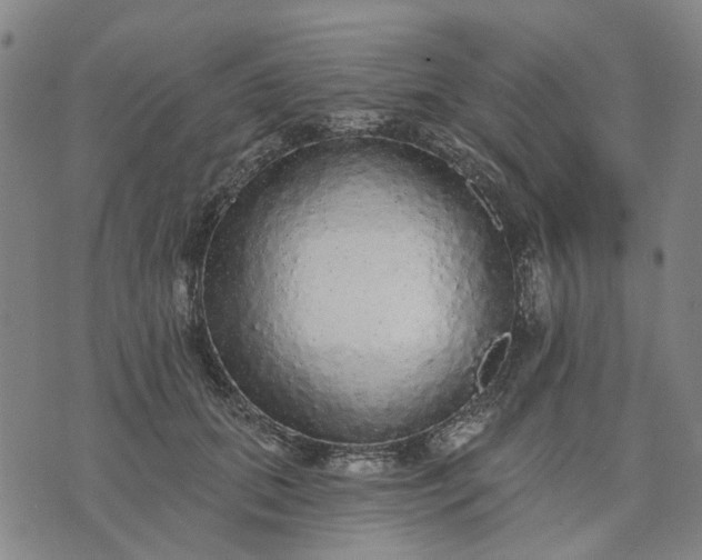 X0000076080655200610061617