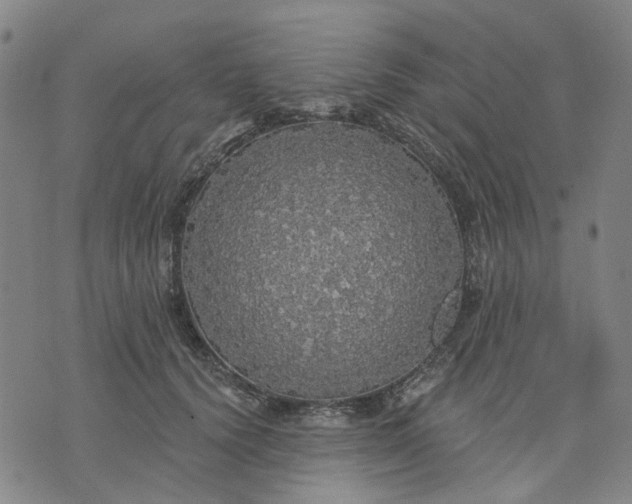 X0000076080656200610061617