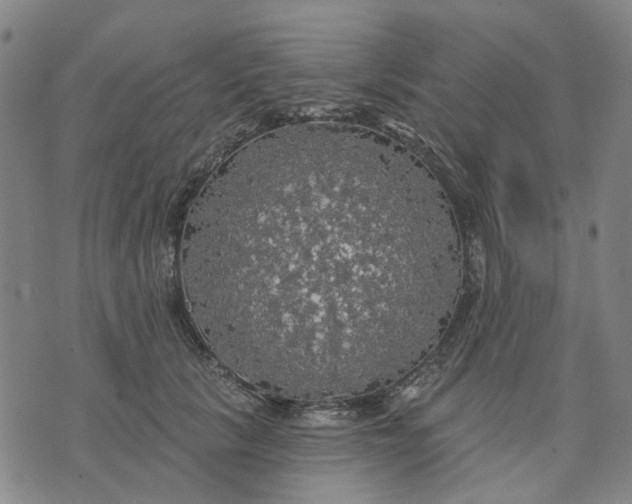 X0000076080657200610061617